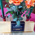 Set di Spazzole Per il Corpo-Viso  Ineffable Care (recensione)
